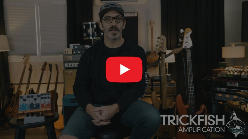 VCA Compressor – TRICKFISH AMPLIFICATION